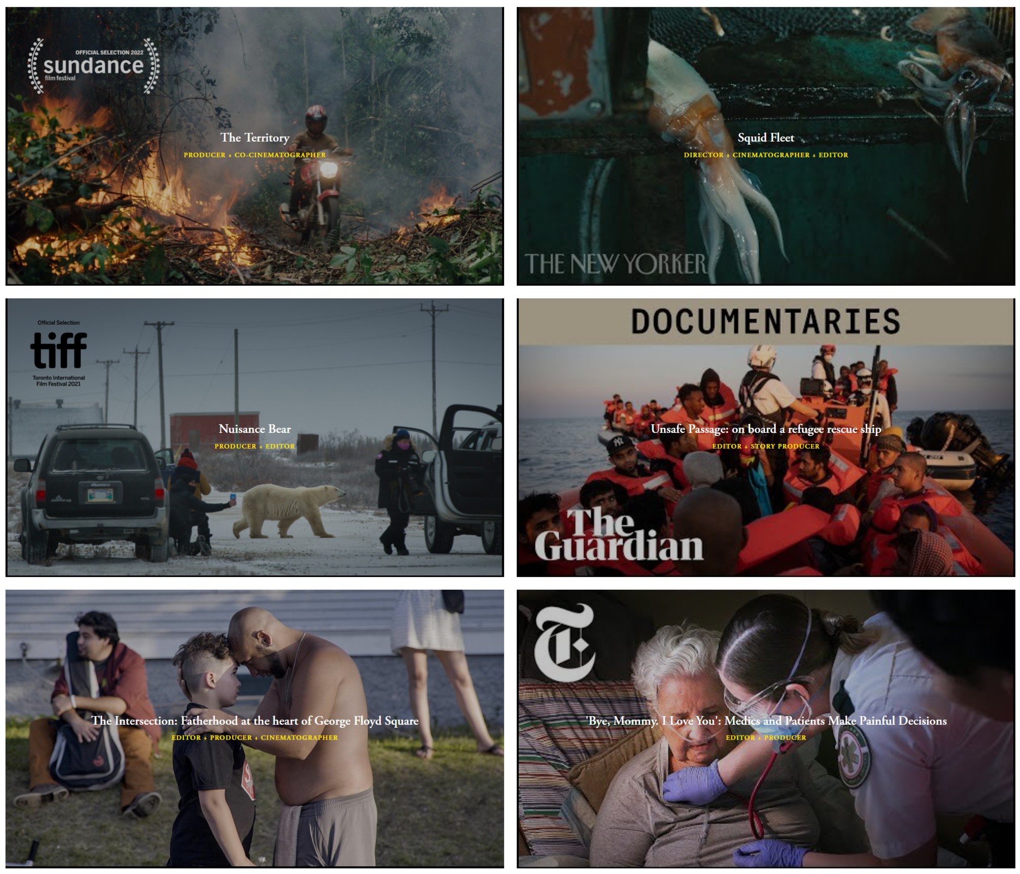 Screenshots of various documentarties